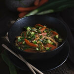 Udon Nudeln